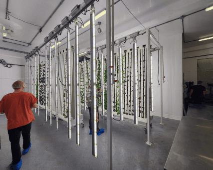 A room with many pipes and wires hanging from the ceiling.