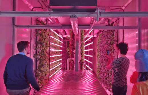Two people are standing in a room with plants growing.
