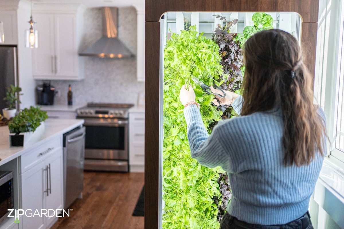 A woman is standing in front of an indoor garden.