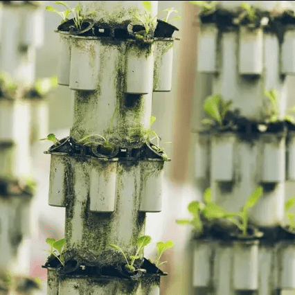A close up of plants growing in a tower
